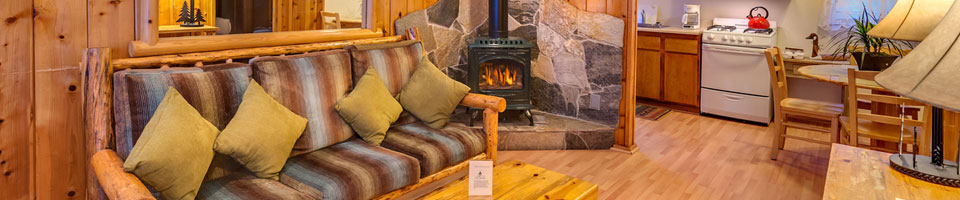 page header image