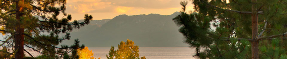 page header image