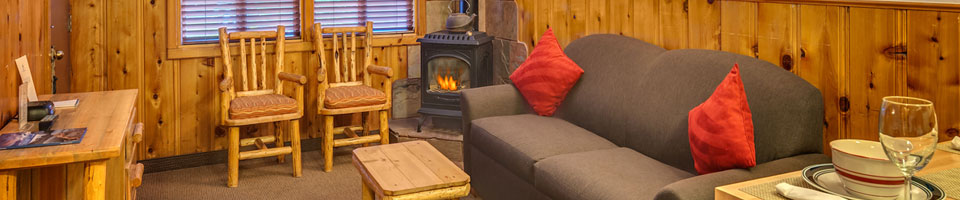 page header image